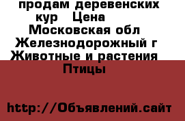 продам деревенских кур › Цена ­ 500 - Московская обл., Железнодорожный г. Животные и растения » Птицы   